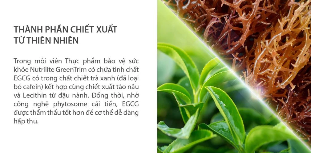 Mua Green Trim Amway Nutrilite Chính Hãng Tại Việt Nam Địa Chỉ Uy Tín Và Giá Tốt Nhất