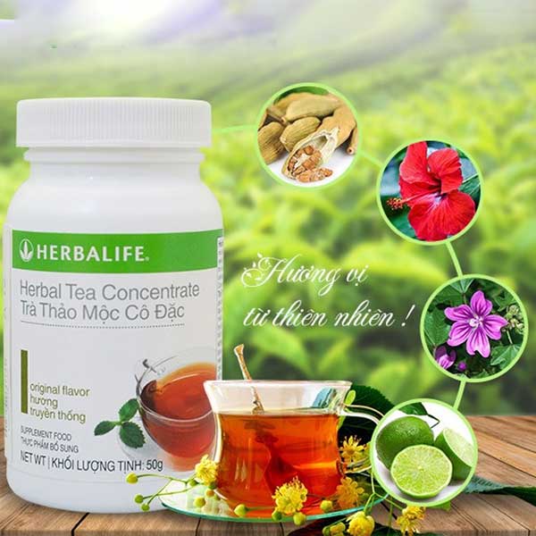 Tổng Quan Thành Phần Trà Cô Đặc Thảo Mộc Herbalife
