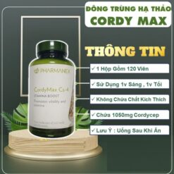 CordyMax CS-4 phù hợp với ai