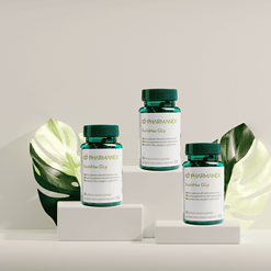 So sánh ReishiMax với các sản phẩm nấm linh chi khác